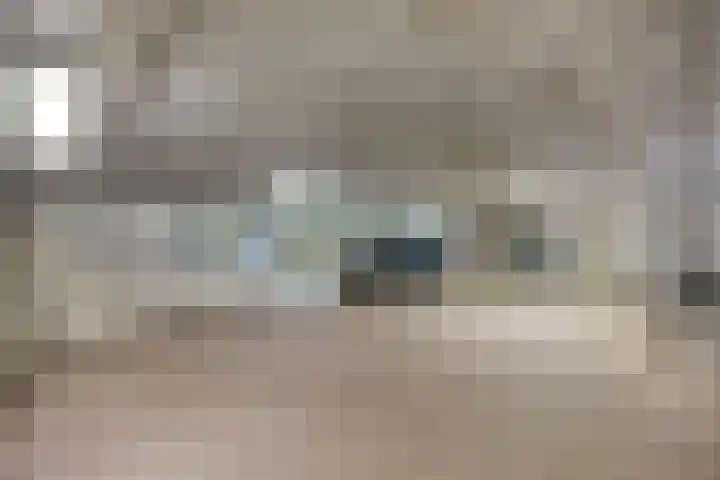 Sphinxlunet 52 D Maastricht thumbnail 36