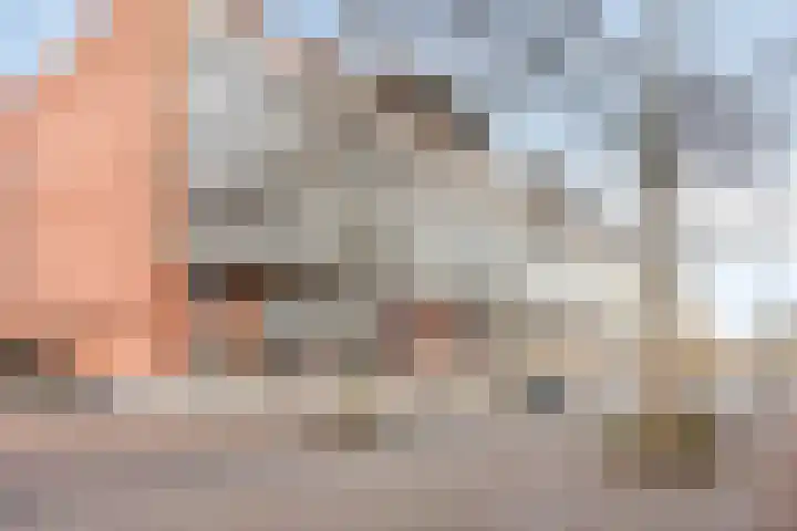 Sphinxlunet 52 D Maastricht thumbnail 39
