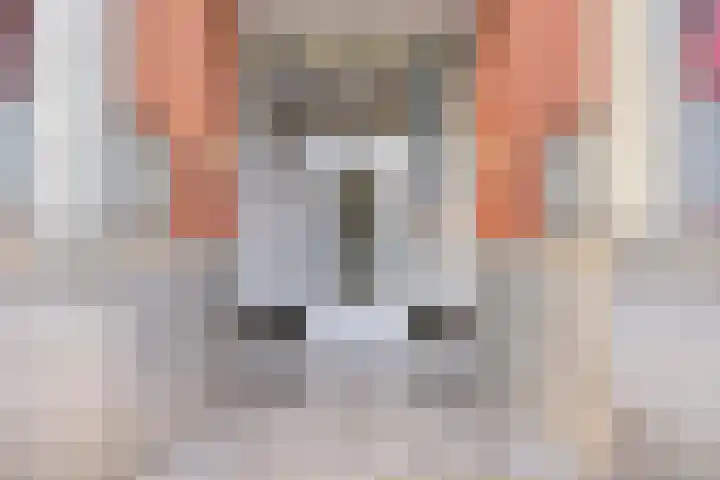 Sphinxlunet 52 D Maastricht thumbnail 4