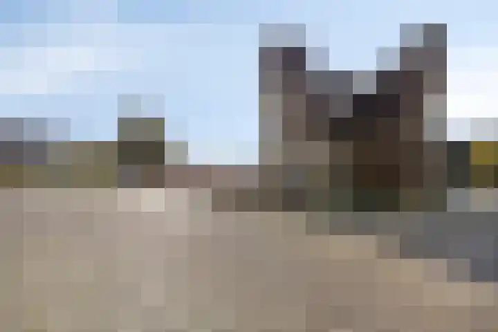 Sphinxlunet 52 D Maastricht thumbnail 45
