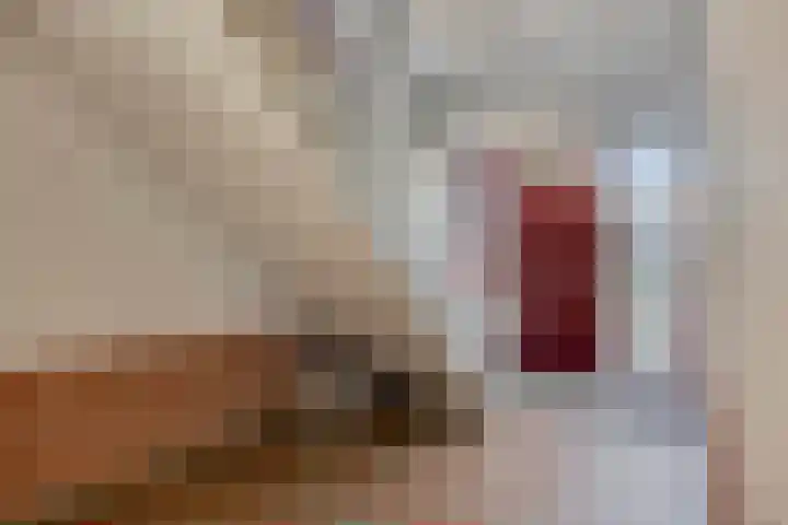 Sphinxlunet 52 D Maastricht thumbnail 6