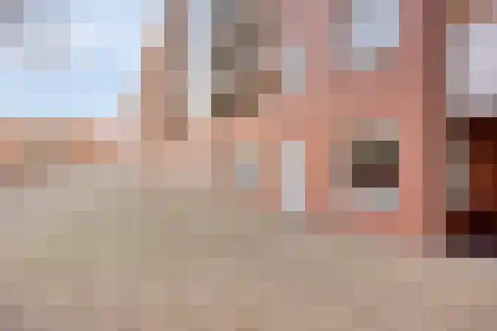 Sphinxlunet 52 D Maastricht thumbnail 7