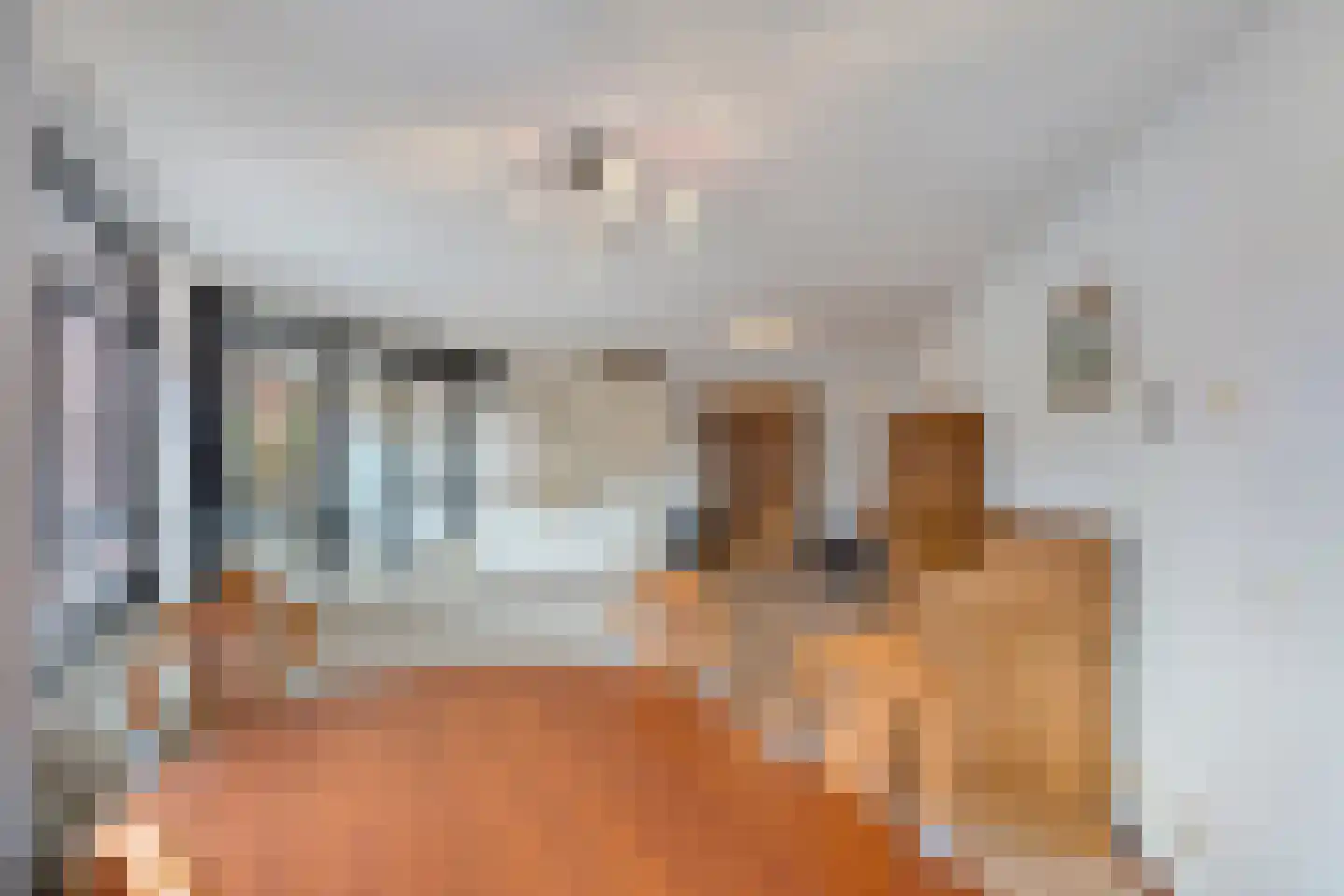 Sphinxlunet 62 C Maastricht thumbnail 16