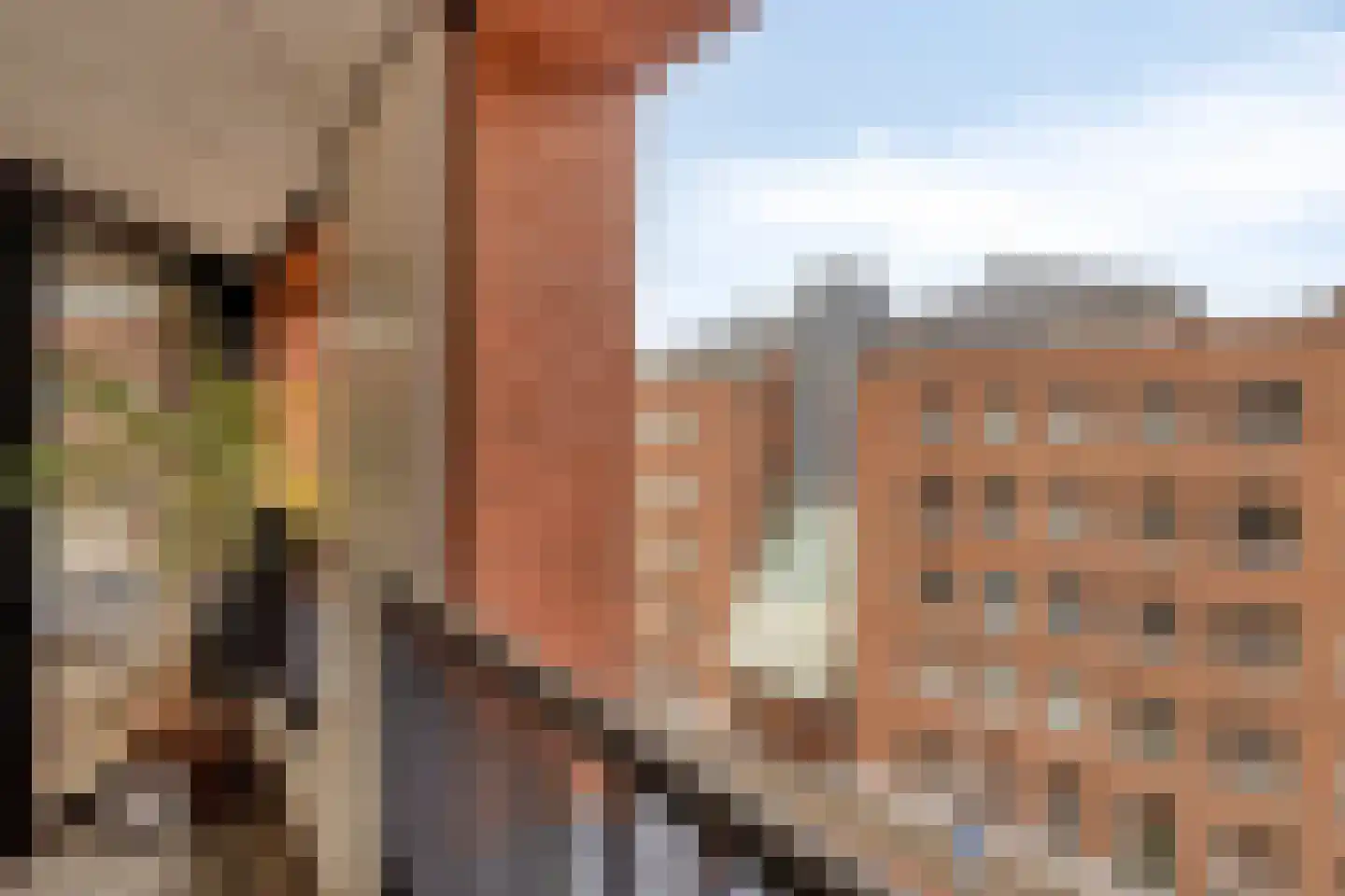 Sphinxlunet 62 C Maastricht thumbnail 19