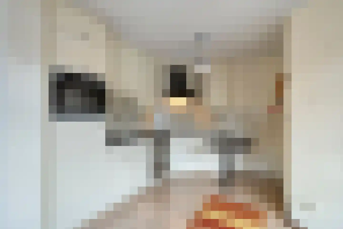 Sphinxlunet 62 C Maastricht thumbnail 20