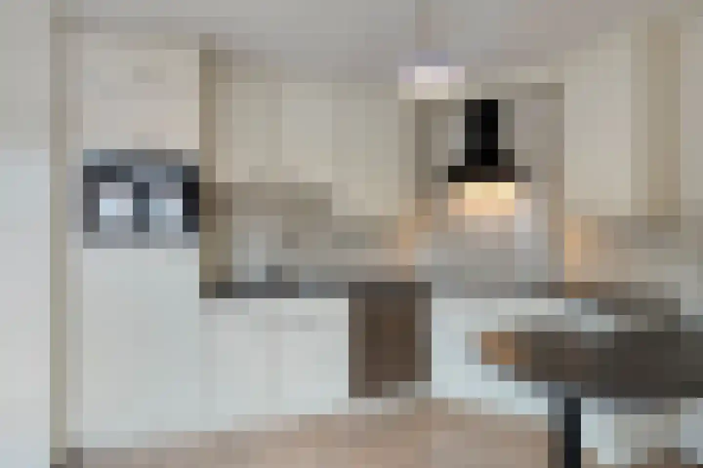 Sphinxlunet 62 C Maastricht thumbnail 21