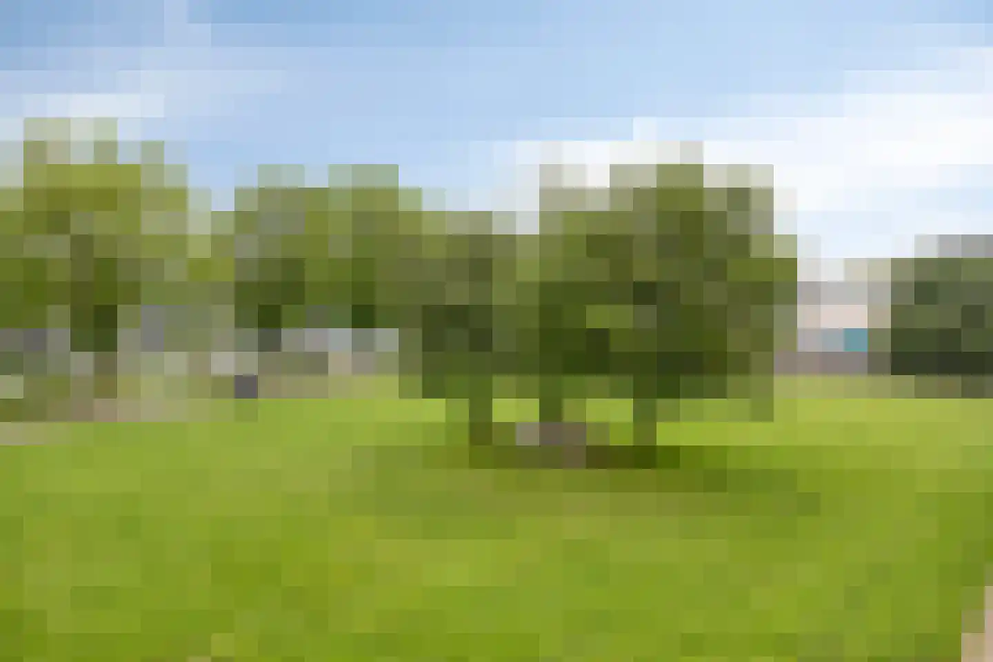 Sphinxlunet 62 C Maastricht thumbnail 42