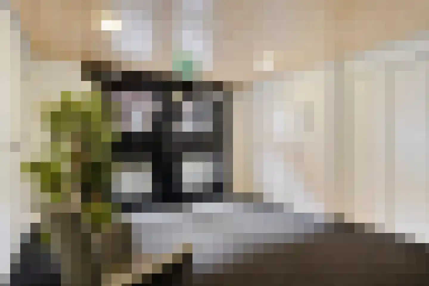 Sphinxlunet 62 C Maastricht thumbnail 5