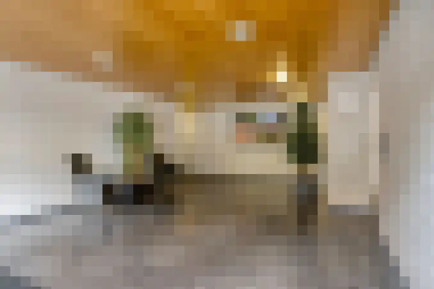 Sphinxlunet 62 C Maastricht thumbnail 6