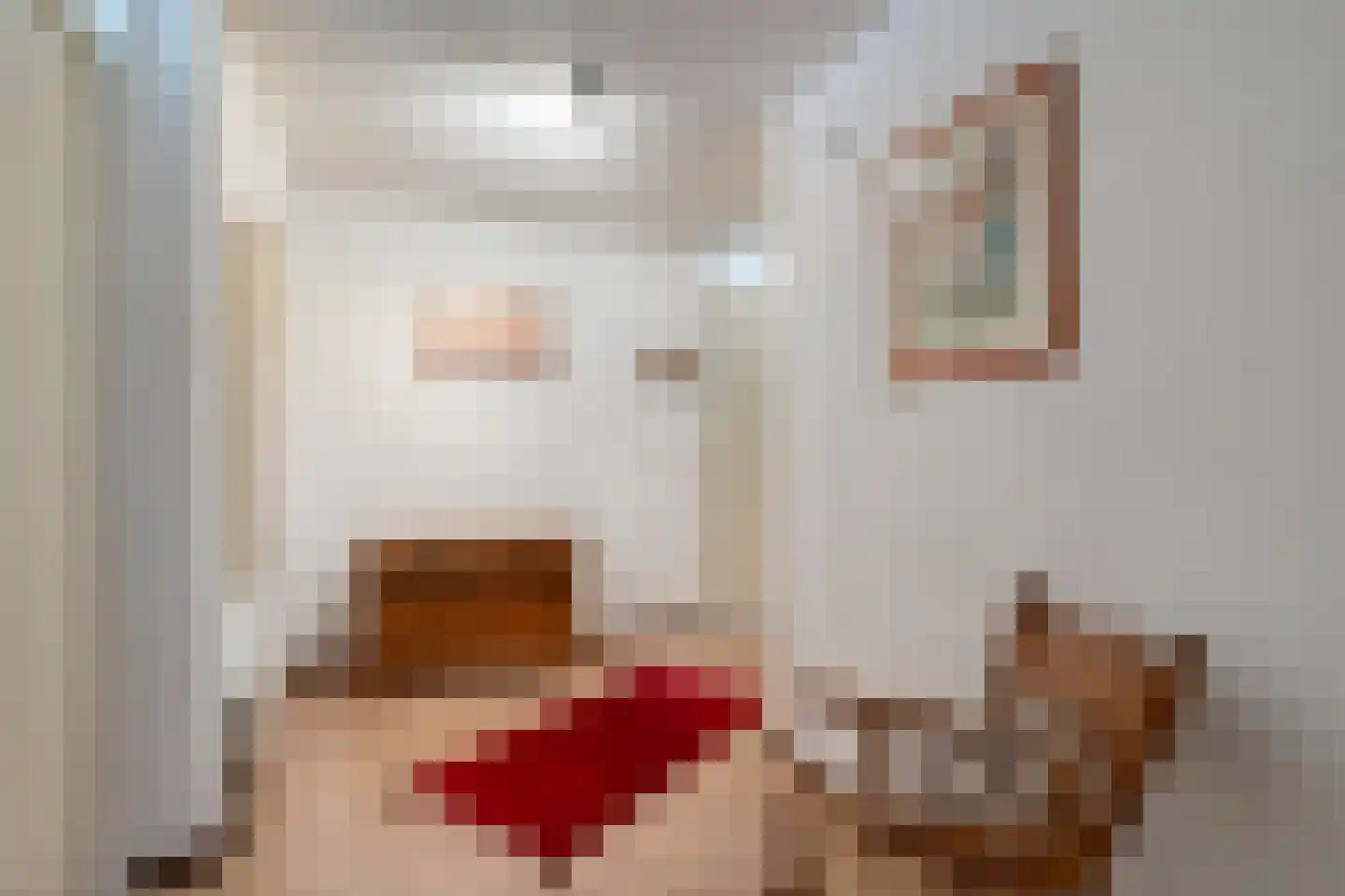 Sphinxlunet 62 C Maastricht thumbnail 9