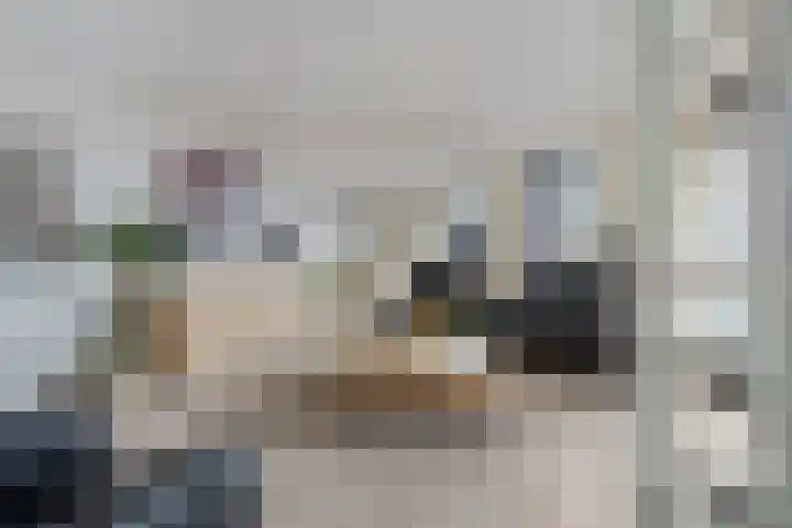 Sphinxlunet 62 D Maastricht thumbnail 10
