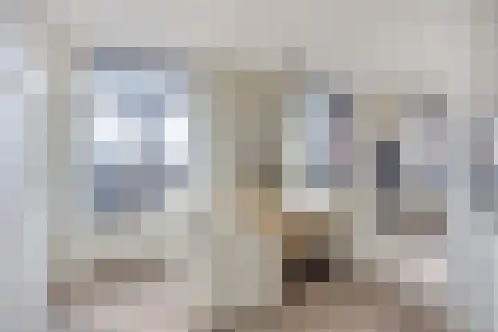 Sphinxlunet 62 D Maastricht thumbnail 14