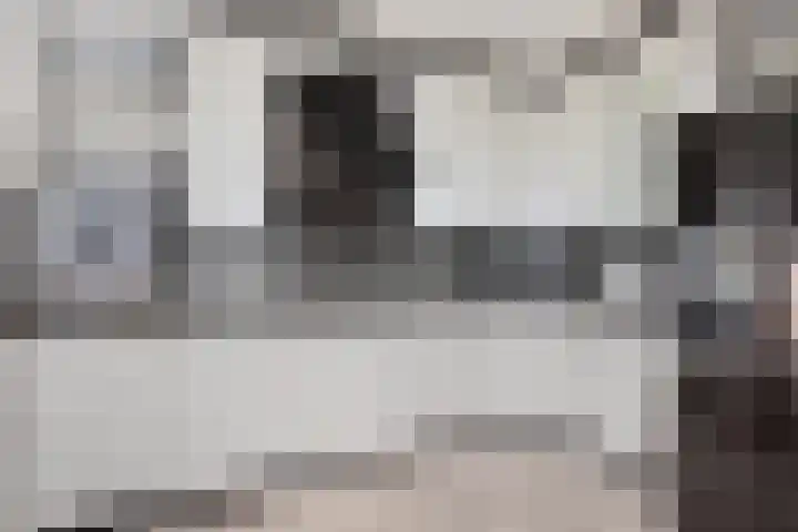 Sphinxlunet 62 D Maastricht thumbnail 15