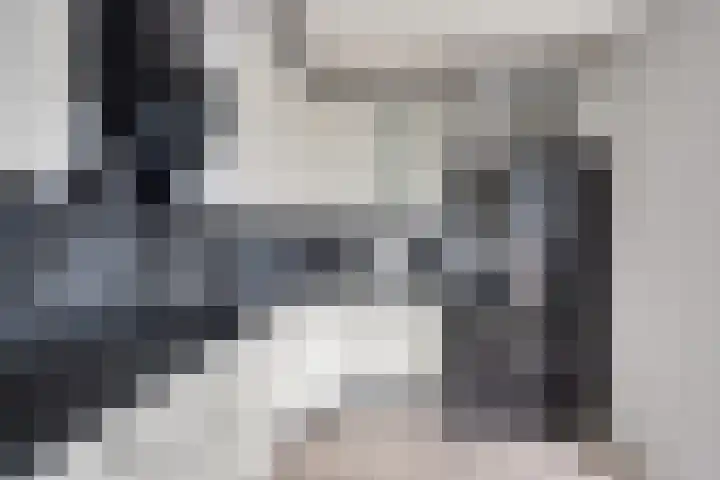 Sphinxlunet 62 D Maastricht thumbnail 16