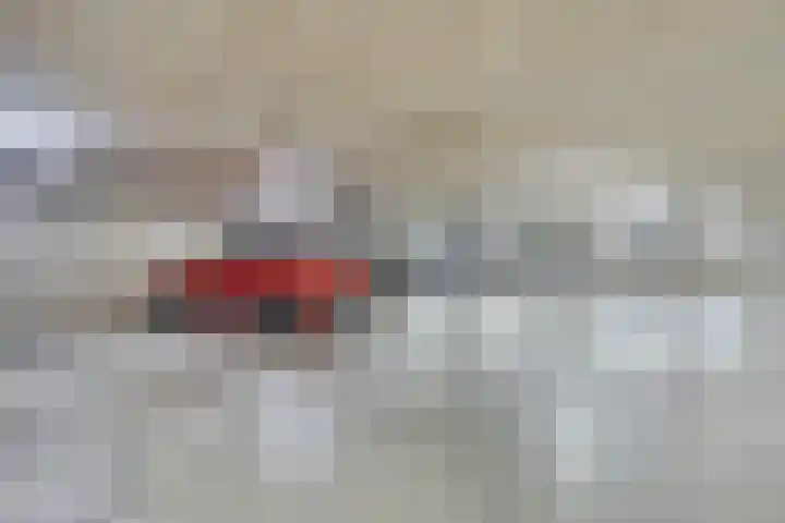 Sphinxlunet 62 D Maastricht thumbnail 25