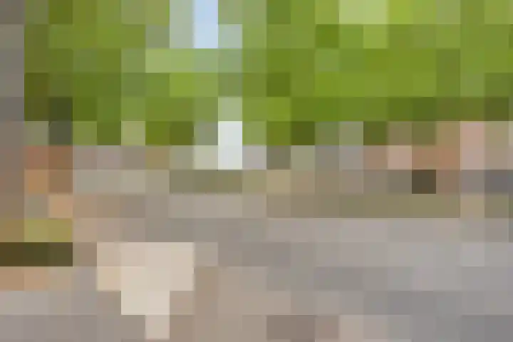 Sphinxlunet 62 D Maastricht thumbnail 26