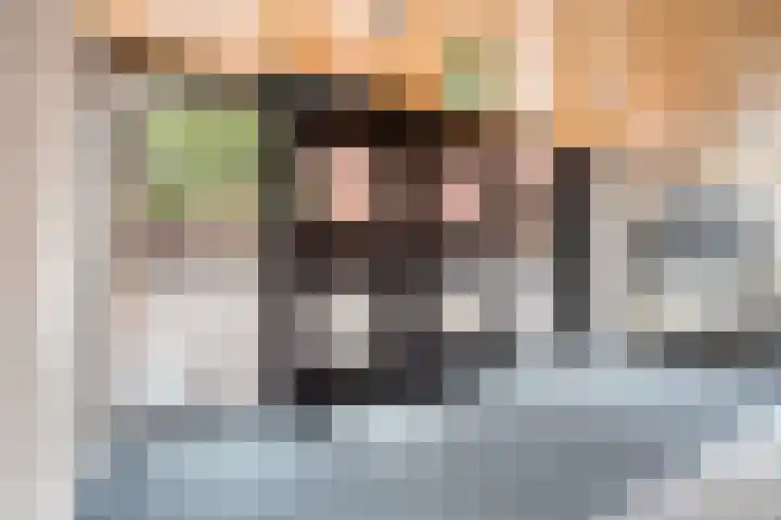 Sphinxlunet 62 D Maastricht thumbnail 6