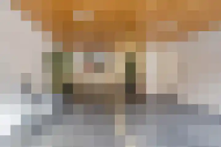 Sphinxlunet 62 D Maastricht thumbnail 7