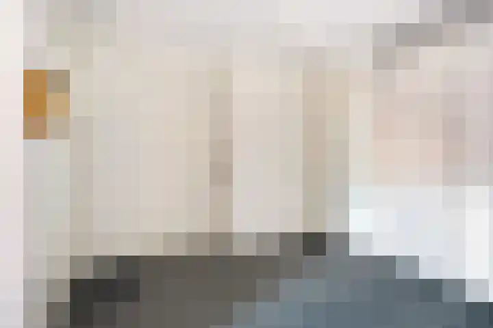 Sphinxlunet 62 D Maastricht thumbnail 9