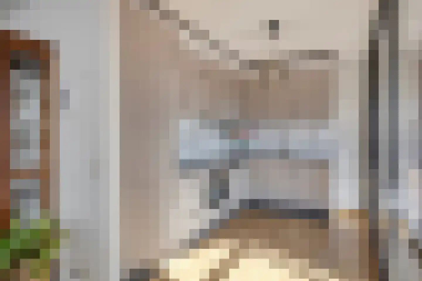Sphinxlunet 68 K Maastricht thumbnail 11