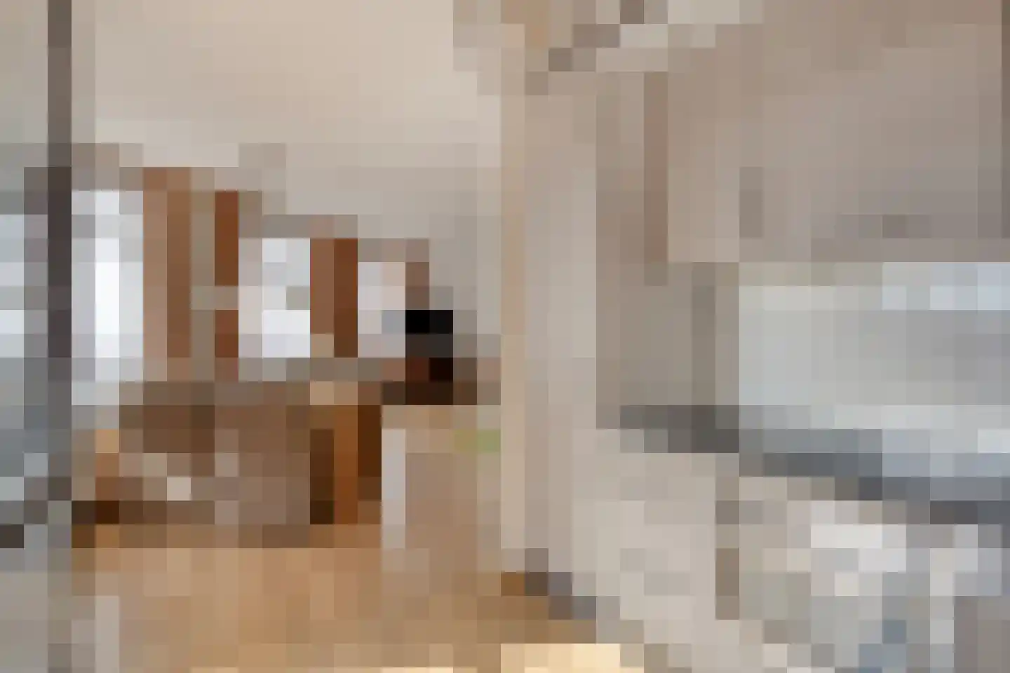 Sphinxlunet 68 K Maastricht thumbnail 17