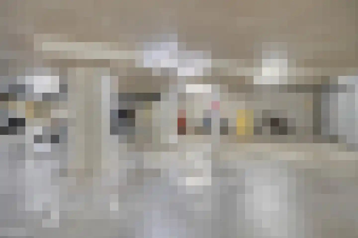 Sphinxlunet 68 K Maastricht thumbnail 30