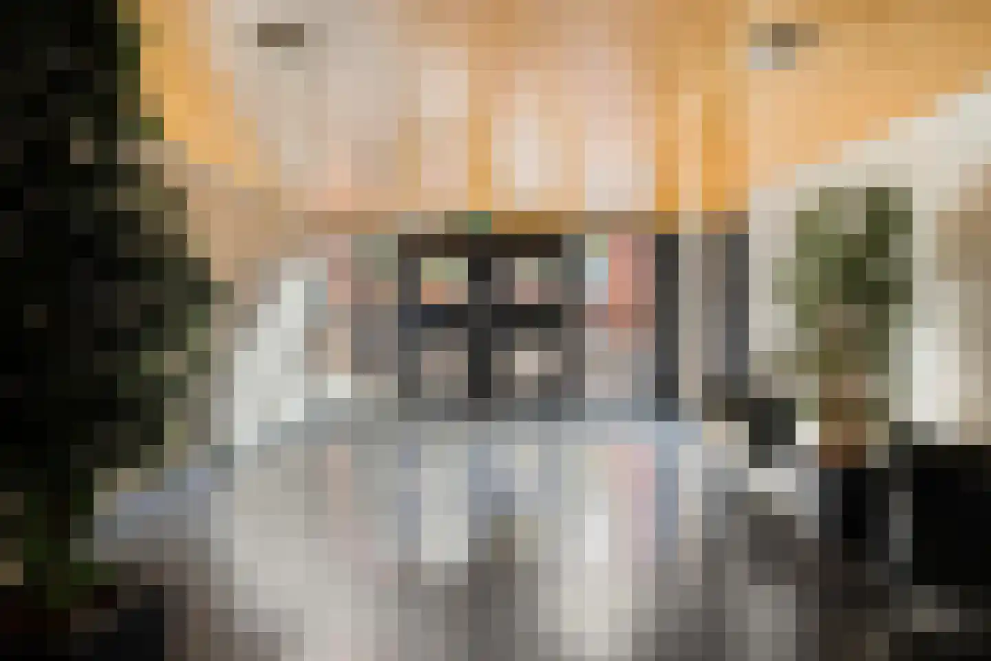 Sphinxlunet 68 K Maastricht thumbnail 33