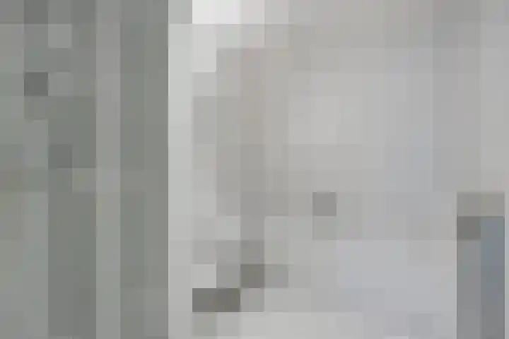 Sphinxlunet 77 D Maastricht thumbnail 10