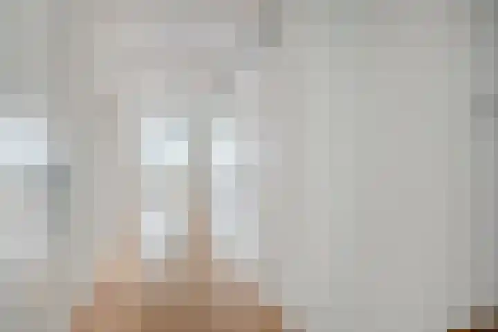Sphinxlunet 77 D Maastricht thumbnail 12
