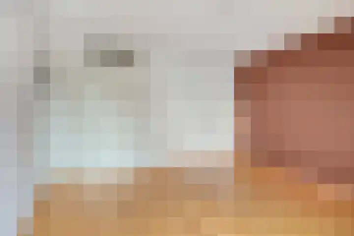 Sphinxlunet 77 D Maastricht thumbnail 15