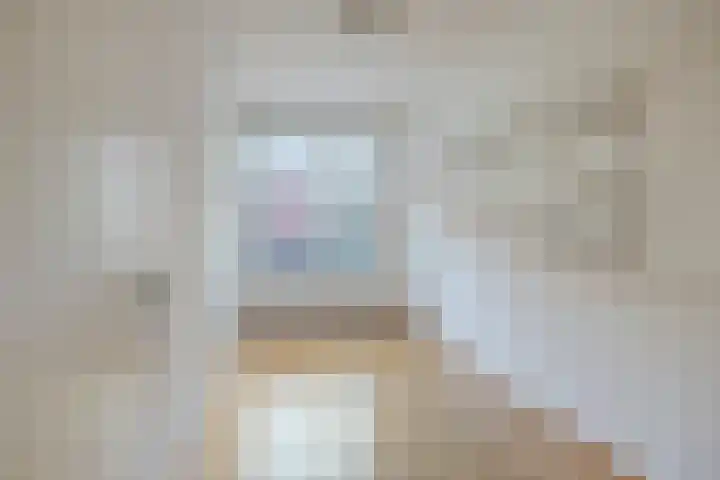 Sphinxlunet 77 D Maastricht thumbnail 16