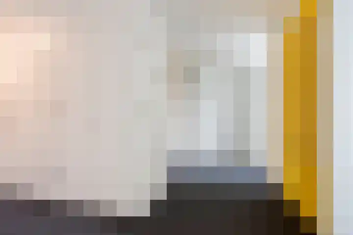 Sphinxlunet 77 D Maastricht thumbnail 17