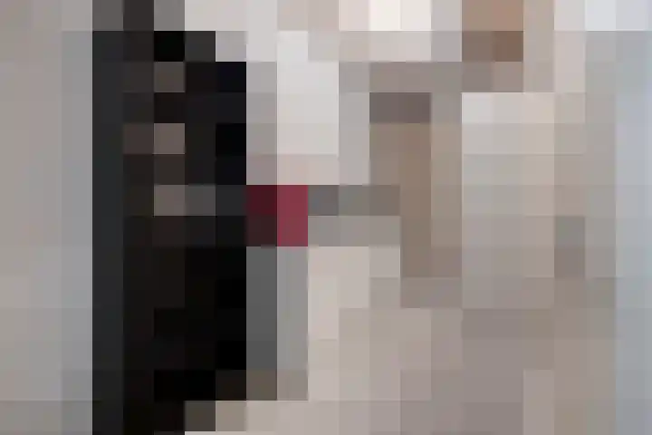 Sphinxlunet 77 D Maastricht thumbnail 18