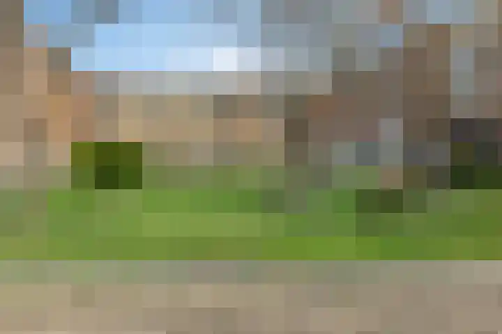 Sphinxlunet 77 D Maastricht thumbnail 21