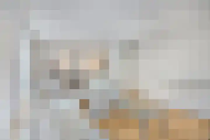 Sphinxlunet 77 D Maastricht thumbnail 5
