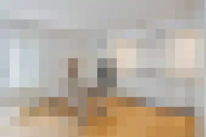 Sphinxlunet 77 D Maastricht thumbnail 8