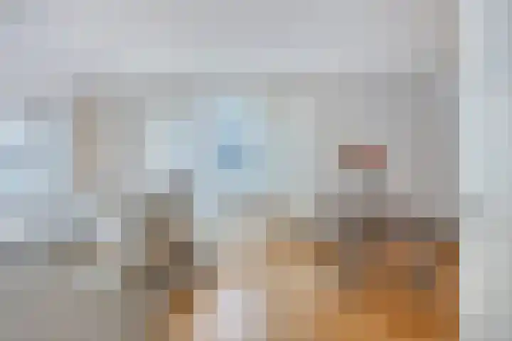 Sphinxlunet 77 D Maastricht thumbnail 9