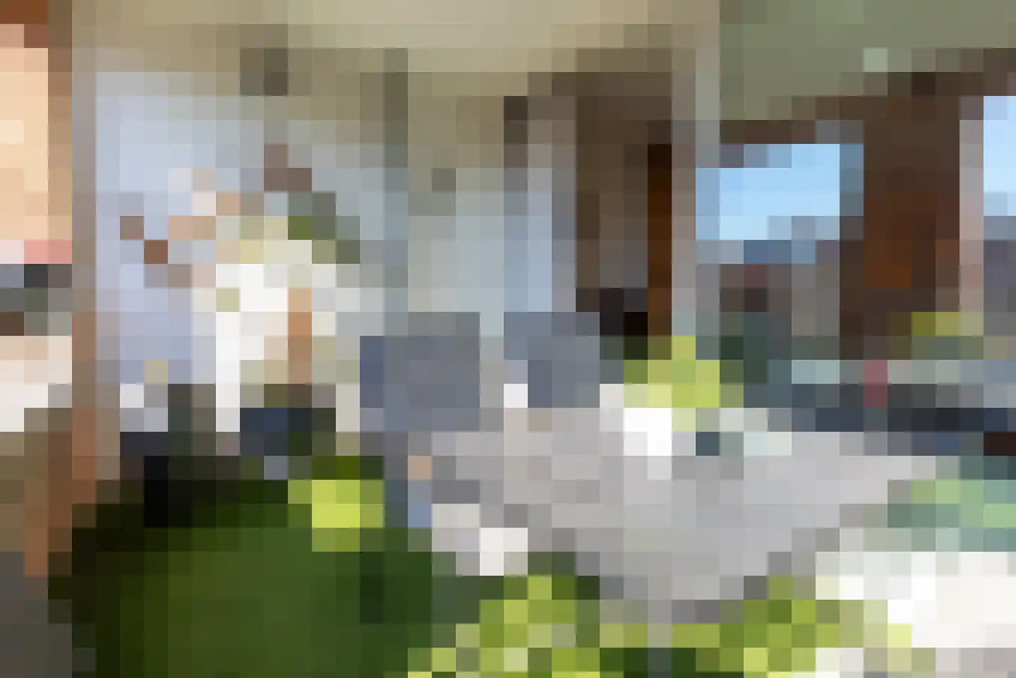 Sphinxlunet 83 E Maastricht thumbnail 10