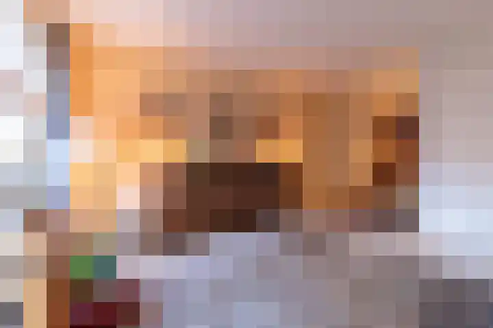 Sphinxlunet 83 E Maastricht thumbnail 11