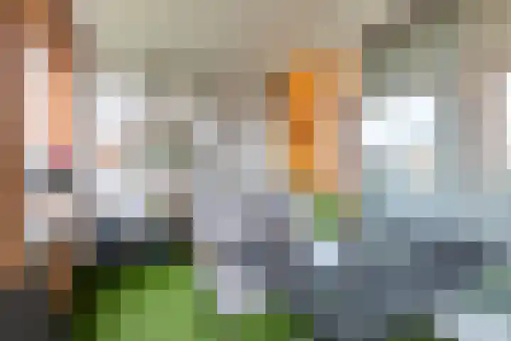 Sphinxlunet 83 E Maastricht thumbnail 12