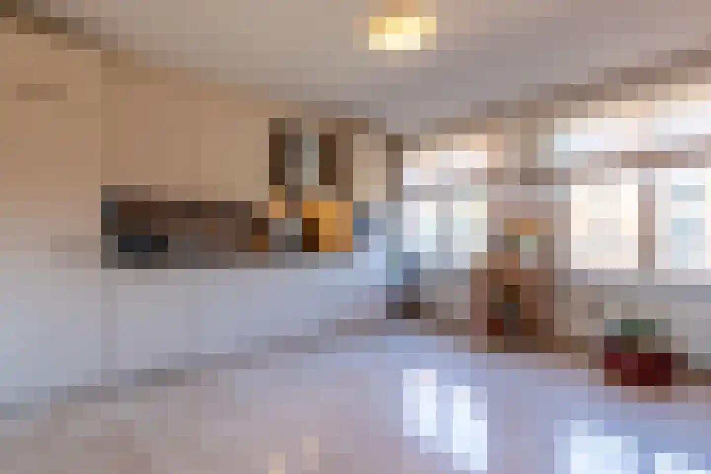 Sphinxlunet 83 E Maastricht thumbnail 6