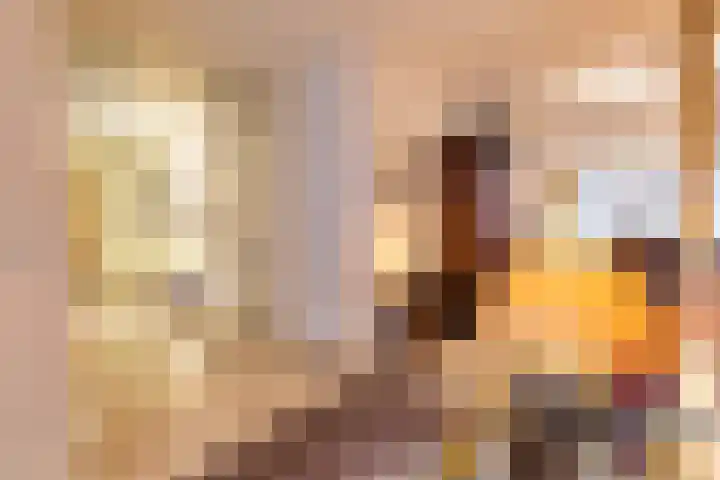 Sphinxlunet 83 E Maastricht thumbnail 7