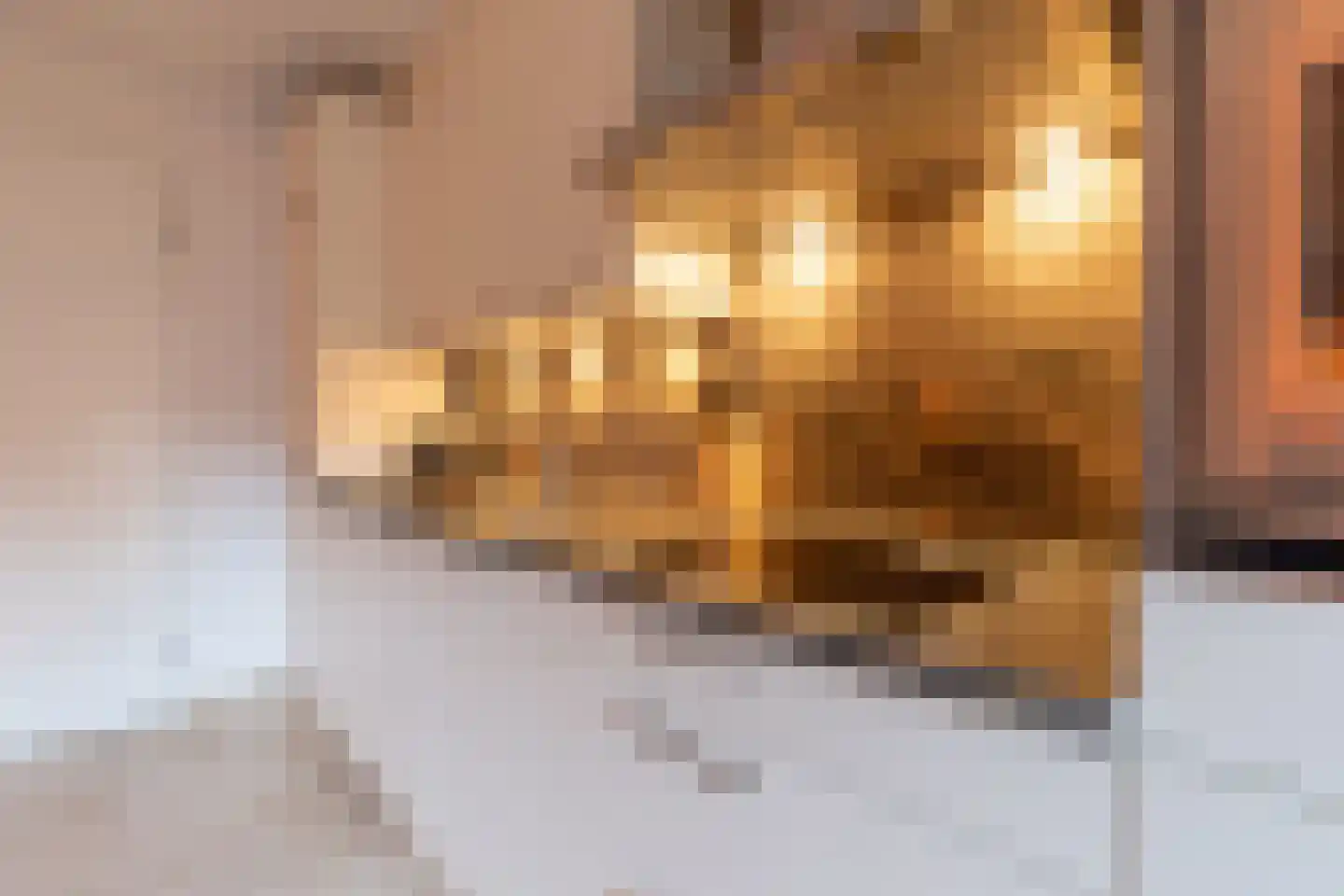 Sphinxlunet 83 E Maastricht thumbnail 8
