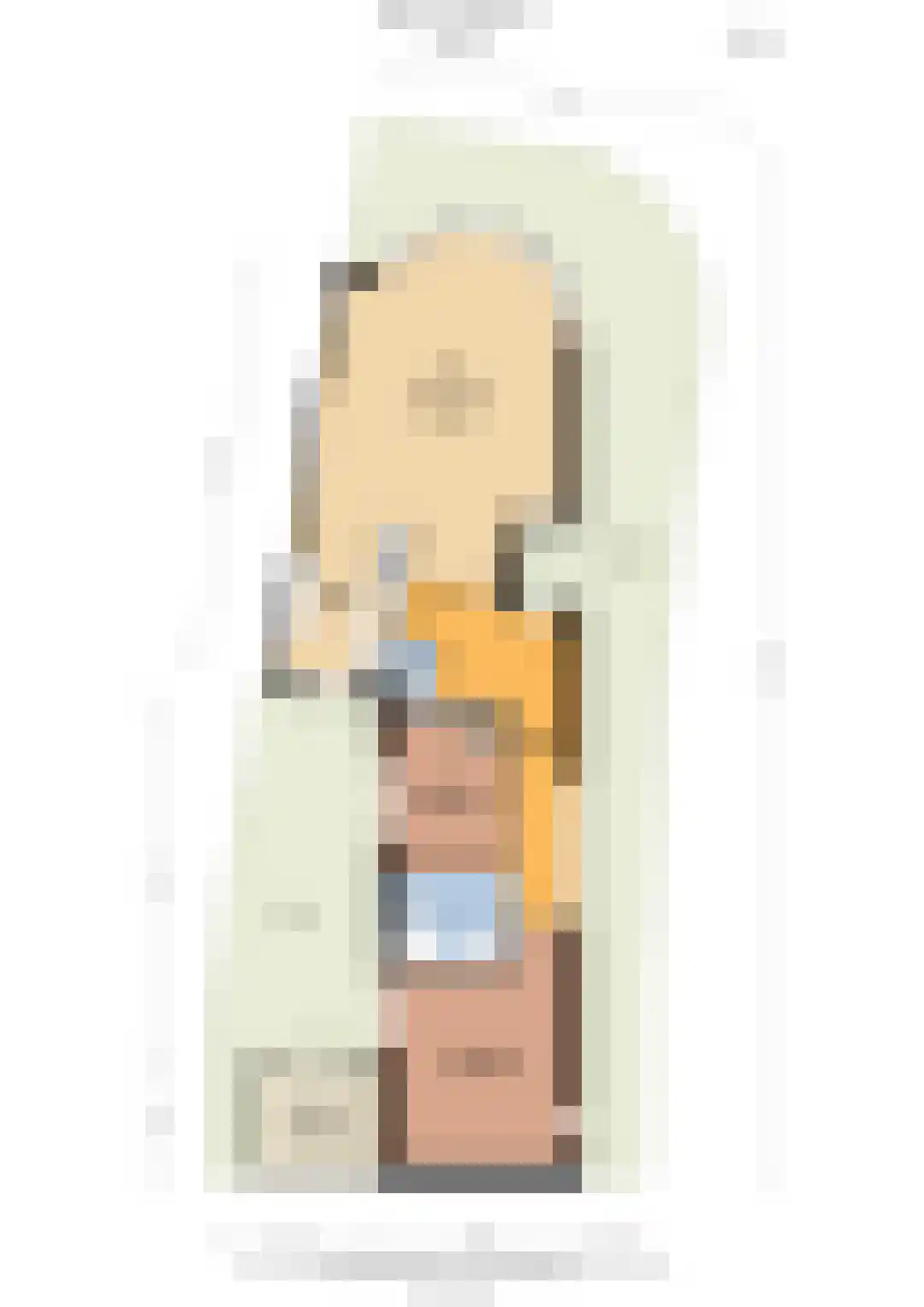 Spica 13 Waddinxveen thumbnail 26