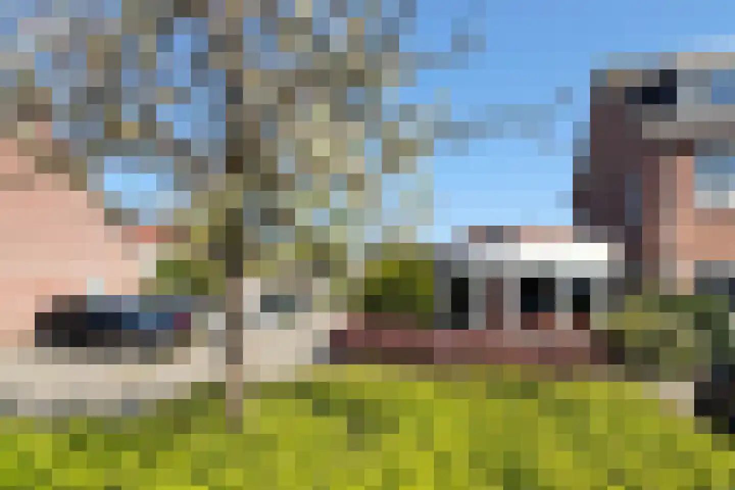Spica 13 Waddinxveen thumbnail 4