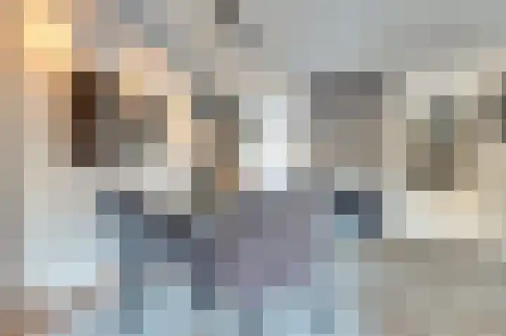 Spica 16 Waddinxveen thumbnail 14