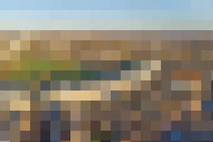 Spica 16 Waddinxveen thumbnail 38