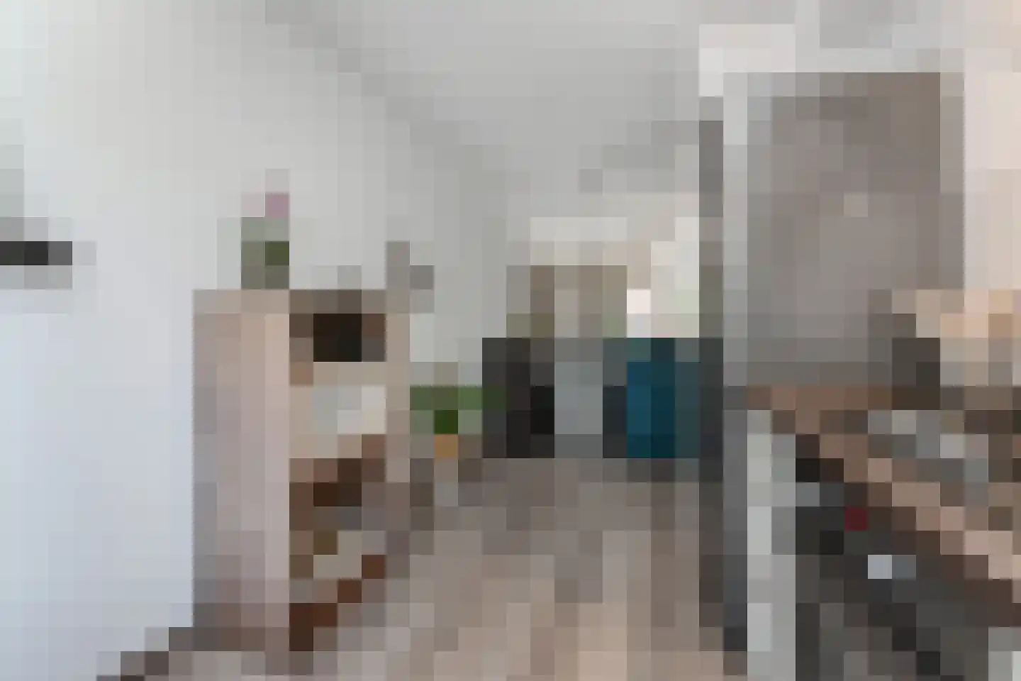 Spica 17 Waddinxveen thumbnail 14