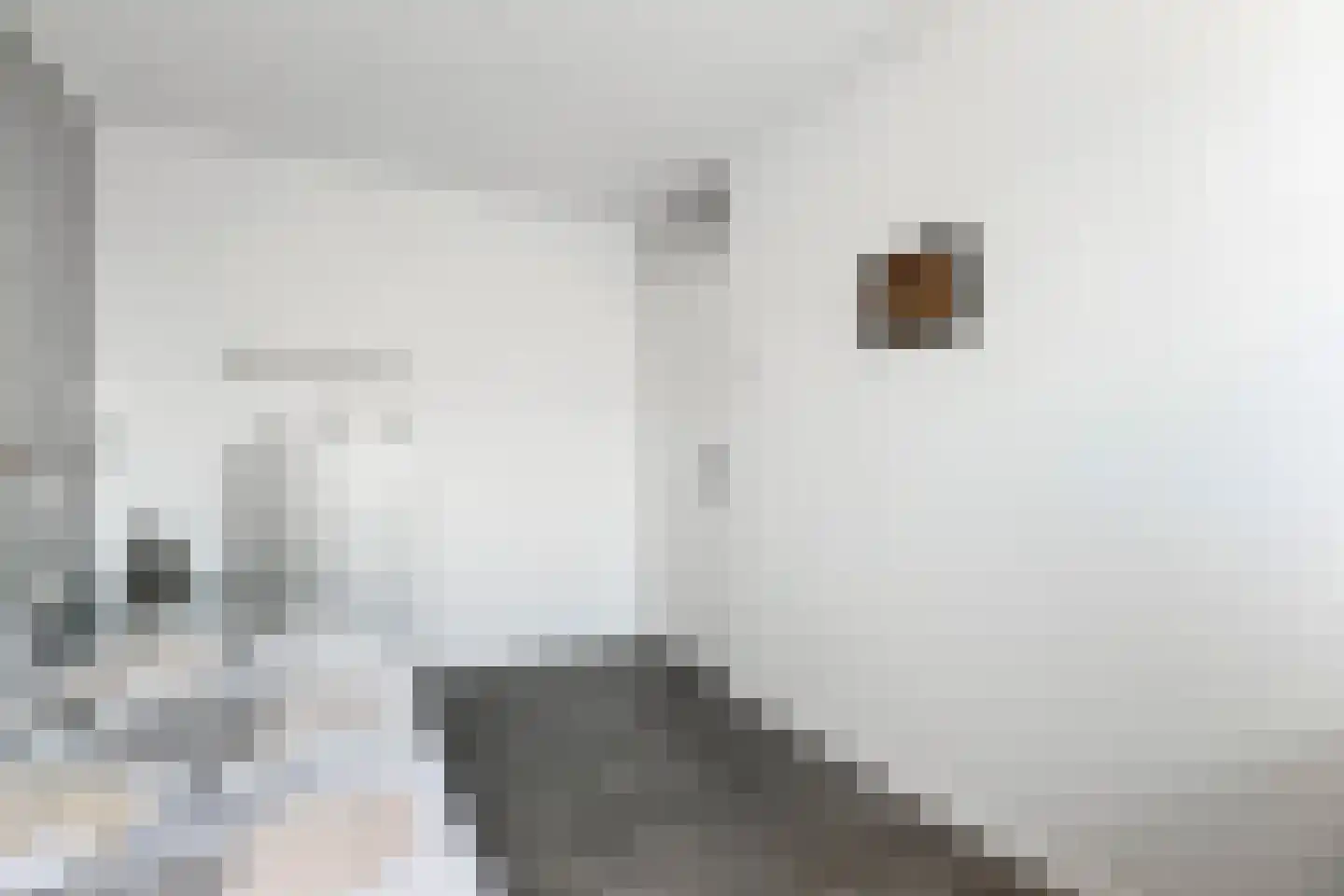 Spica 17 Waddinxveen thumbnail 26