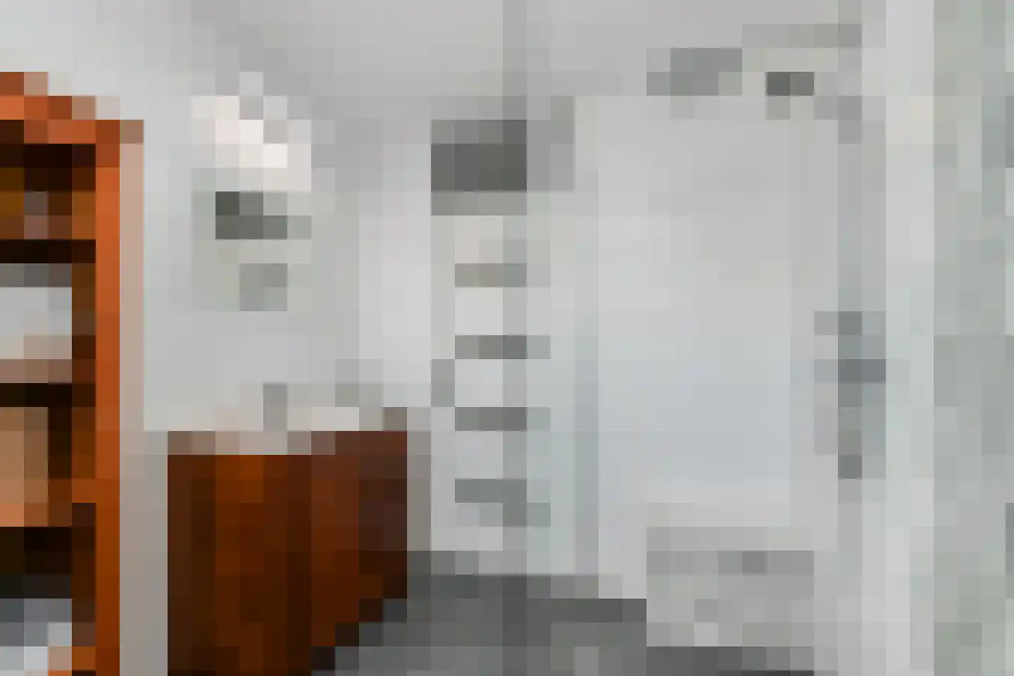 Spica 17 Waddinxveen thumbnail 28